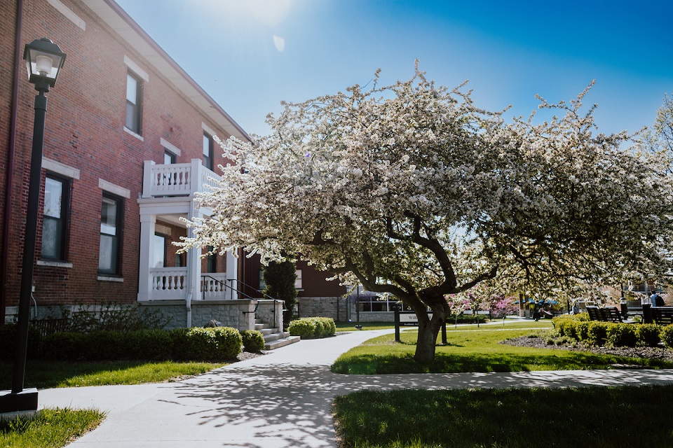 Main campus in the spring, with flowering trees.